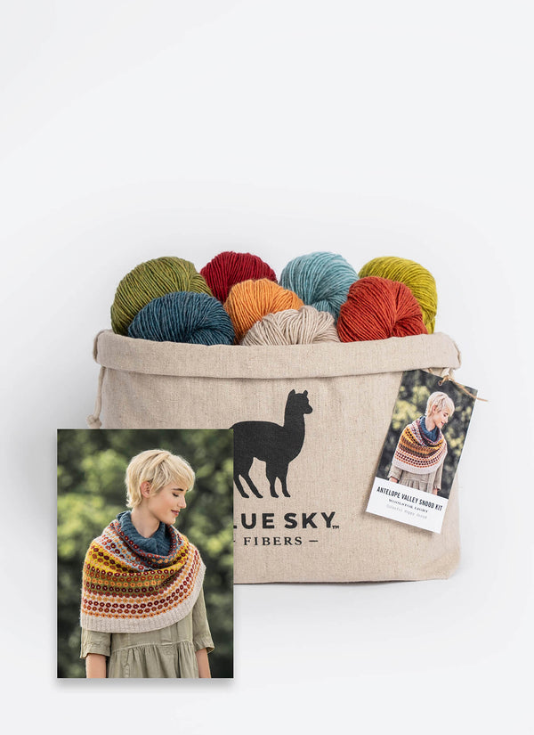 Blue Sky Fibers - Woolstok Light - Knit Kit - Antelope Valley Snood