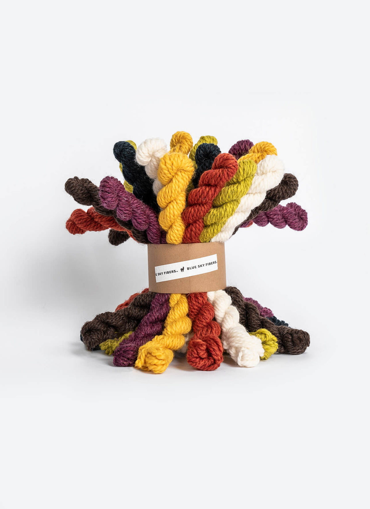 Blue Sky Fibers | Woolstok | 21 Mini Skein Bundles