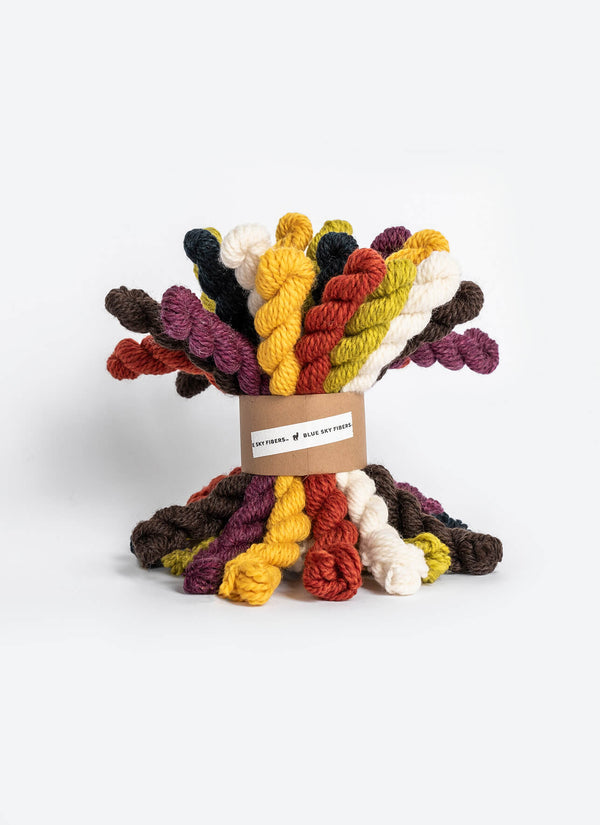 Blue Sky Fibers | Woolstok | 21 Mini Skein Bundles