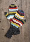 Blue Sky Fibers - Kit - 21 Color Mitts Kit