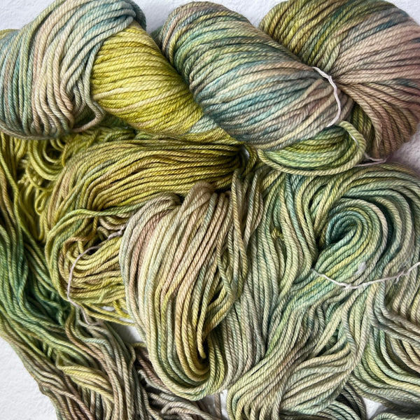 Malabrigo - Rios - Rosalindas Friends - Superwash Merino Worsted