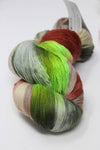 Artyarns - National Parks Edition - Joshua Tree - fabyarns