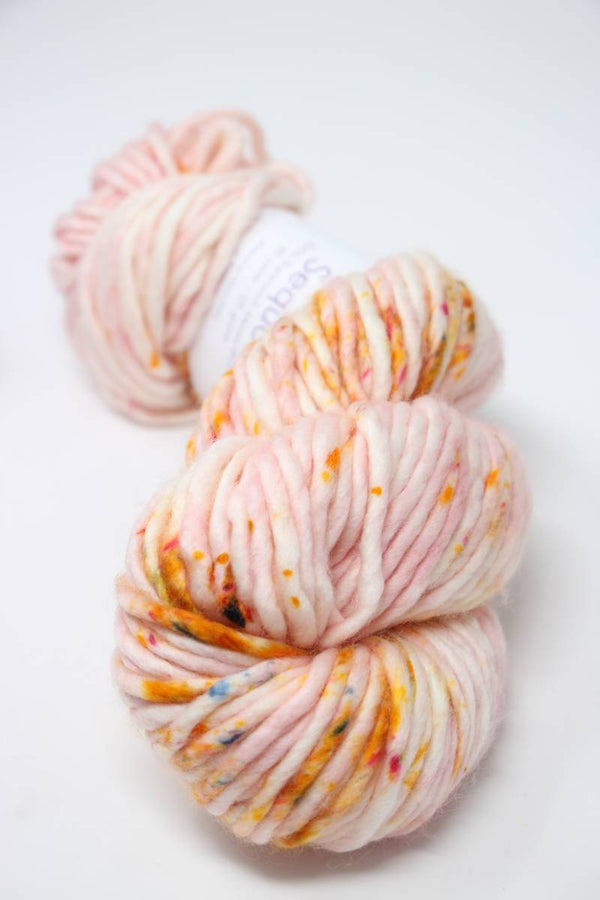 Baah Yarn - Sequoia Super Bulky Merino Yarn
