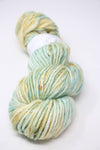 Baah Yarn - Sequoia Super Bulky Merino Yarn