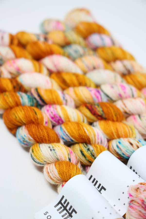 Hedgehog Fibres - Hedgehog Sock Mini Skeins