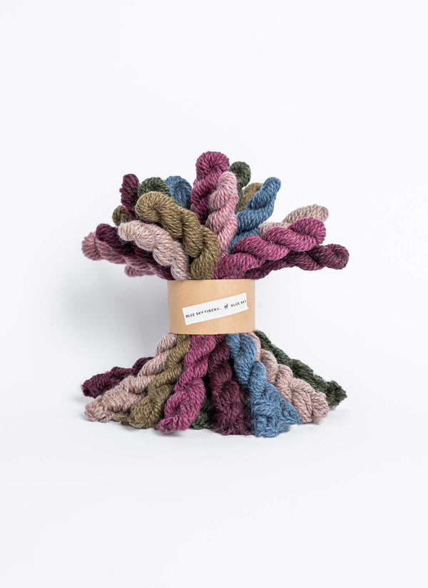 Blue Sky Fibers | Woolstok | 21 Mini Skein Bundles