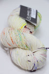 Madelinetosh Tosh DK yarn in Cosmic Wonder Dust, soft and variegated wool fiber for knitting and crocheting projects.