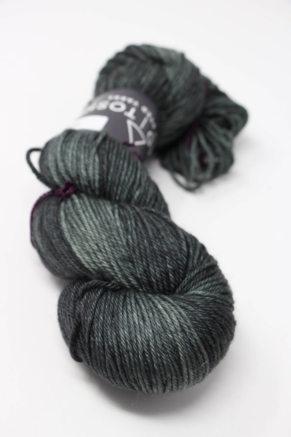 Madelinetosh Tosh DK yarn in Faded Parka colorway, showing soft, variegated knitting yarn with a smooth texture and vibrant shades.