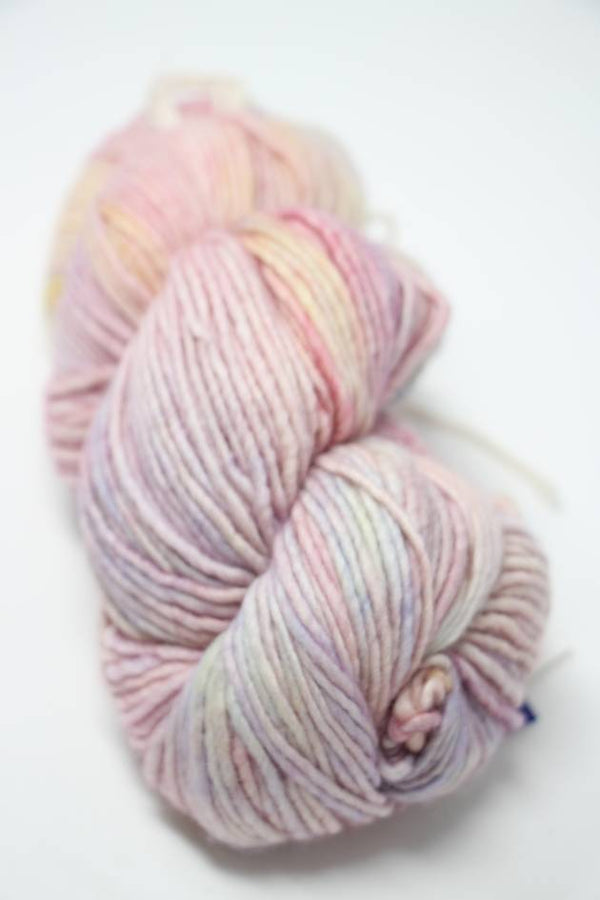 Malabrigo Yarn | Worsted Merino (Multi)