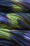 Malabrigo Yarn | Worsted Merino (Multi)