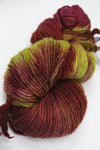 Malabrigo Yarn | Worsted Merino (Multi)