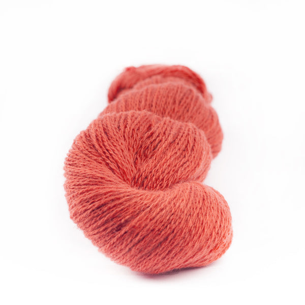MYAK - Baby Yak - Lace