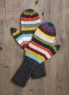 Blue Sky Fibers - Kit - 21 Color Mitts Kit
