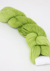 2285 Wild Fern