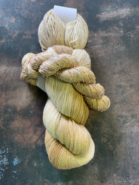 Golden Gradient (712)