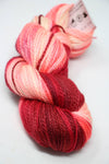 Artyarns | Inspiration Club September 2025 | Ixora Blossoms