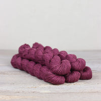 Calluna