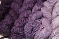 Heliotrope