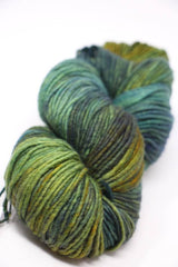 Malabrigo Yarn | Worsted Merino (Multi)