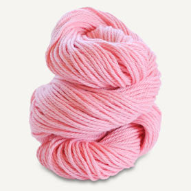 Blue Sky Fibers - Sweater Worsted Superwash