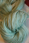 Zen Yarn Garden - Serenity 20 - Artwalk Series