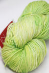 Zen Yarn Garden - Serenity 20