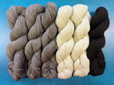 Blue Sky Fibers | Woolstok Light | Tivoli Shawl Kit