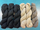 Blue Sky Fibers | Woolstok Light | Tivoli Shawl Kit