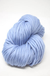 Blue Heron (0077)