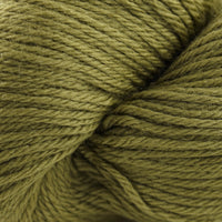 DRIED  HERB