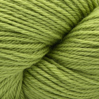 FERN