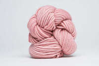 Rose hip (93)