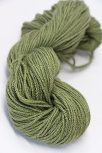 WASABI (38)