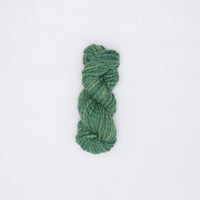 Algae