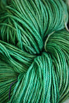 Soft, chunky Madelinetosh Tosh DK yarn in a warm Big Sur colorway, showcasing its smooth texture and rich tone.