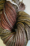 Madelinetosh Tosh DK yarn in Woodstock colorway, showing soft wool skein with rich, warm tones and subtle color variations.
