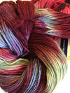 Malabrigo Yarn | Worsted Merino (Multi)