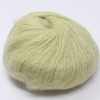 Fern (1477) DISC