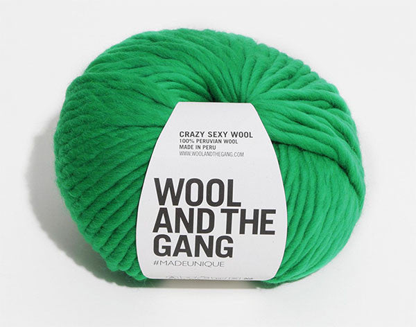 Wool & The Gang - Crazy Sexy Wool