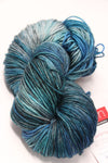 Fingering weight yarn from Zen Yarn Garden's Serenity 20 collection in Atlantis colorway, showcasing soft, vibrant fiber.
